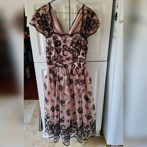 H&M Pink and Black Floral Dress (Black Parts Are Velvety)